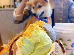椰肉多多椰子冻-蔻蔻椰·鲜萃椰子水(COCO Park店)
