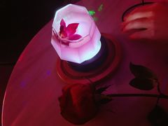 -Darling Queen·Mini·Live·House