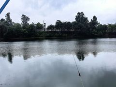 -眉山湿地公园(东坡区)