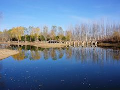 -东郊湿地公园