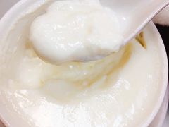 炖双皮奶-澳洲牛奶公司(佐敦店)