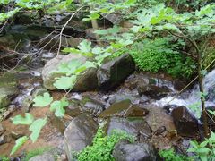 -藏龙百瀑风景区