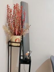 -苑苑vbeauty科技美容SPA