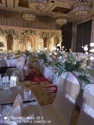 -天泰一站式婚宴·宴会厅