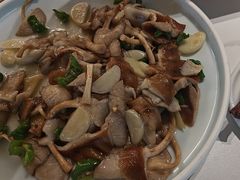 -滇铺子·云南特色菜·第九届野生菌美食节(东风东路c86店)