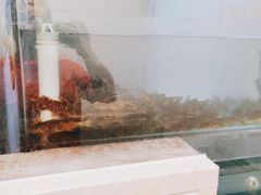 -沸腾鱼家(大尧三路店)