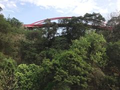 -金鸡山公园