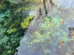 -山东大学学府大酒店(千佛山地铁站店)