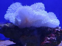 -青岛海底世界-水族馆