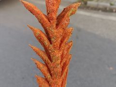 -财大小吃街·小吃侠