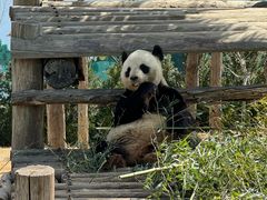 -西霞口神雕山野生动物世界