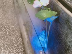 -大榕树下顺德菜(融创茂店)