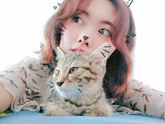 -宠颐生动物医院·心脏科·保险定点(锦阳分院)