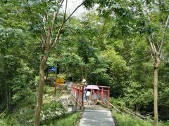 -中山市树木园