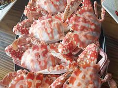 -四川人郑霞海鲜