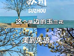 -阳澄湖半岛旅游度假区