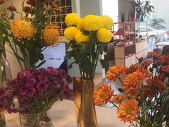 -dotcom coffee古点咖啡(致真大厦店)