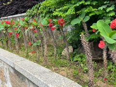 -莆田湄洲妈祖祖庙