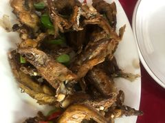 -蛇口康乐快餐鱼仔档(翠苑小区店)