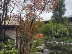 -太白山御龙湾温泉