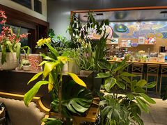 -谷咖啡·鲜花绿植花园餐厅