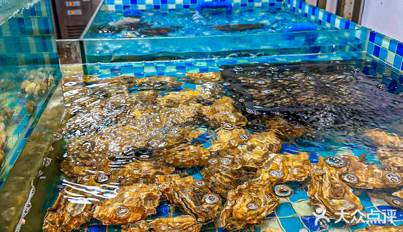 不是那种小尾巴！巴掌大的烤三文鱼尾！！