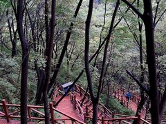 -大岭沟猕猴桃谷风景区