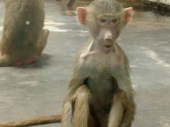 -西安秦岭野生动物园