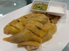 万岁清仁鸡-万年酒楼(越秀南路店)