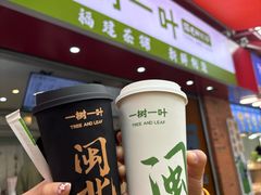 -一树一叶·福建茶档(石鼓路店)