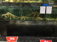 -宝燕壹号(徐汇店)