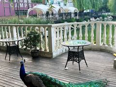 -J Create城市露营咖啡·简餐·宠物(上海动物园店)