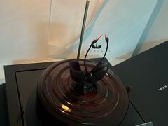 -BLACKSWAN黑天鹅(环球店)