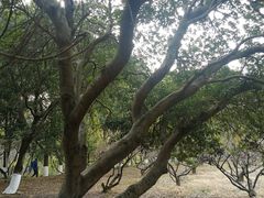 -白马涧龙池景区