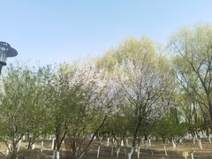 -莫子山公园