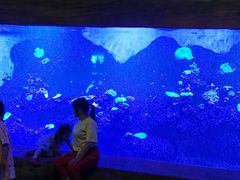 -华夏文旅海洋公园