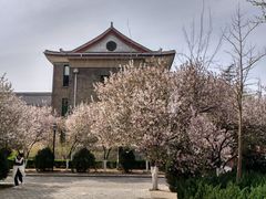 -山东师范大学(千佛山校区)
