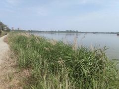 -卤阳湖国家湿地公园