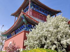 -天津妈祖文化园