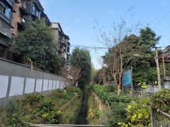 -黑竹香鸡(营和巷店)