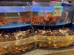 -海景壹号大酒店(滨湖店)