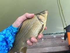 -酷鱼垂钓CLUB(朝阳区博大路店 )