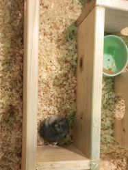 -酷嗒动物文化乐园(cutezoo西溪乐天城店)