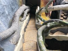 -疯狂屋