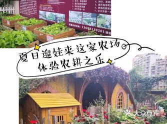 夏日遛娃来这,给孩子来一次难忘的自然课。