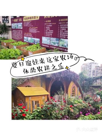 夏日遛娃来这,给孩子来一次难忘的自然课。