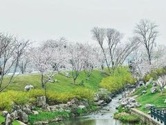 -羊山湖公园