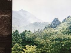 -山涧肴·湘味家肴(松岗满纷天地店)