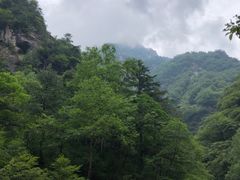 -青峰峡国家森林公园