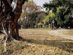 -人民公园(罗湖区)